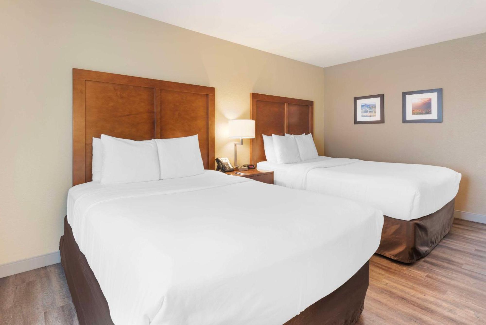 Comfort Inn & Suites Carbondale On The Roaring Fork Exterior foto